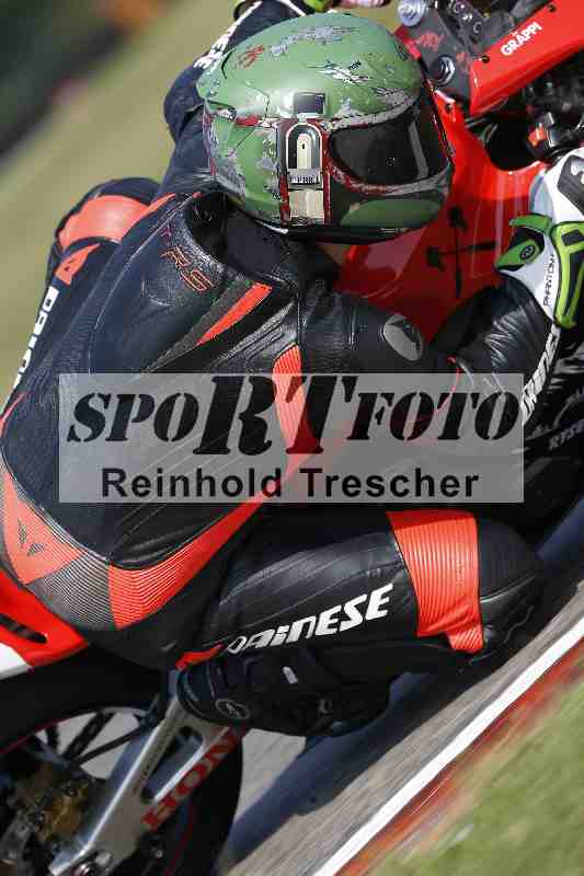 /47 12.08.2025 PADDYS-RACES-DAYS ADR/Sport-Profi/994